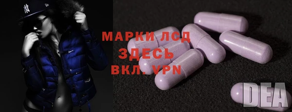 крисы Абаза