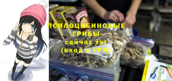 эйфоретик Алексин
