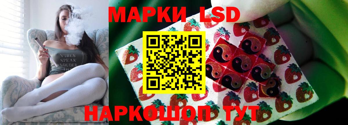 блэк спрут зеркало  Вход с VPN  ЛСД экстази  Димитровград  Лсд 25 экстази кислота 